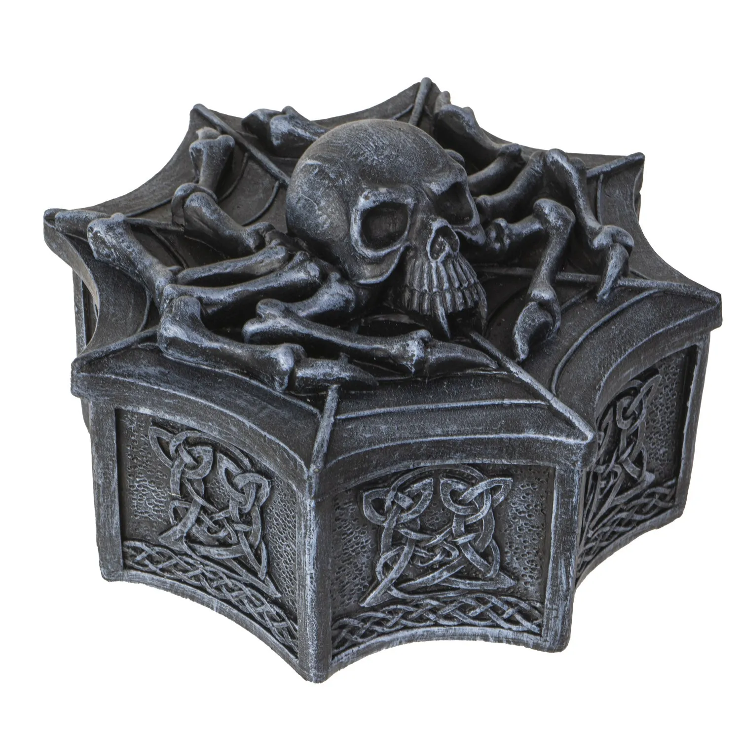 ARACHNID BOX C/12