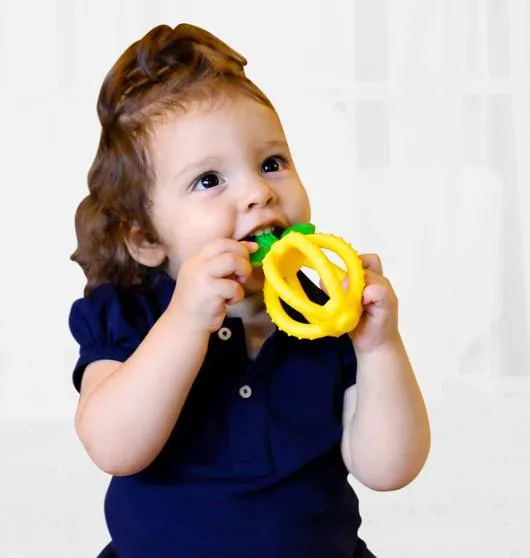 Bitzy Biter Teething Ball and Training Toothbrush