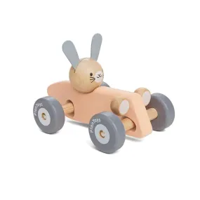 Bunny Racing Car