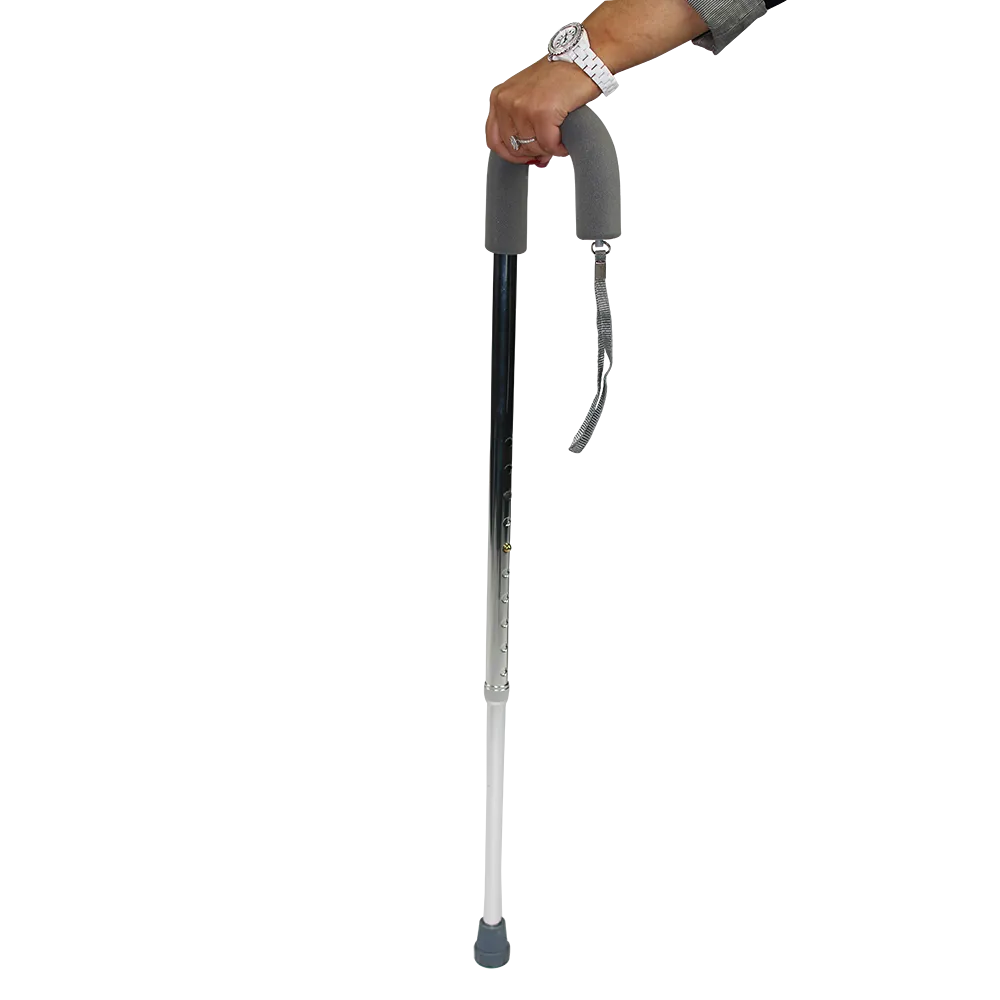 Crook Handle Silver Walking Stick