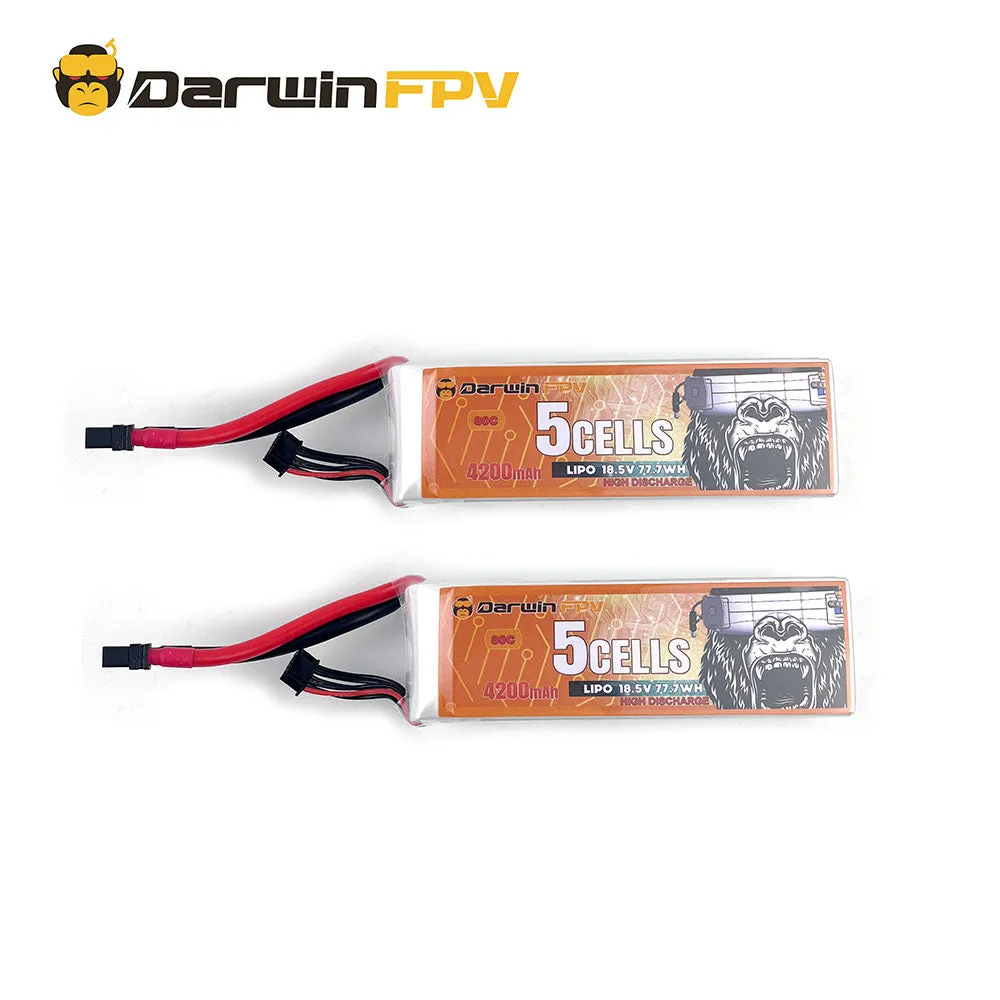 DarwinFPV 5S 4200mAh  18.5V 60C Lipo Battery