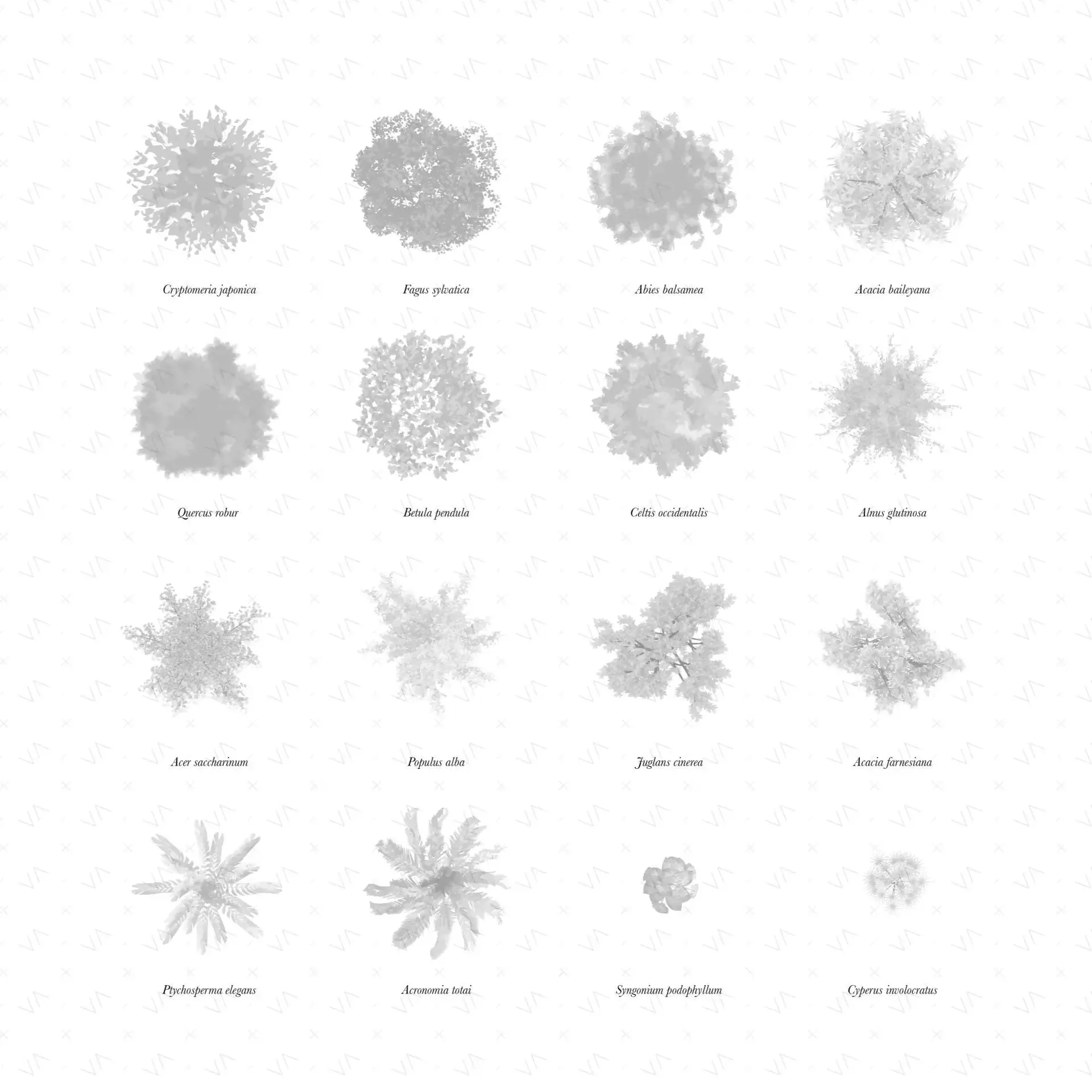 Flat Vector Plan Vegetation and Shadows Bundle