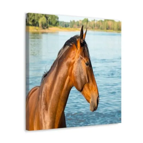 GADGETS WRAP Canvas Gallery Wrap Framed for Home Office Studio Living Room Decoration (10x10inch) - Horse In Water