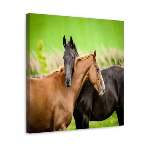 GADGETS WRAP Canvas Gallery Wrap Framed for Home Office Studio Living Room Decoration (10x10inch) - Horse Love