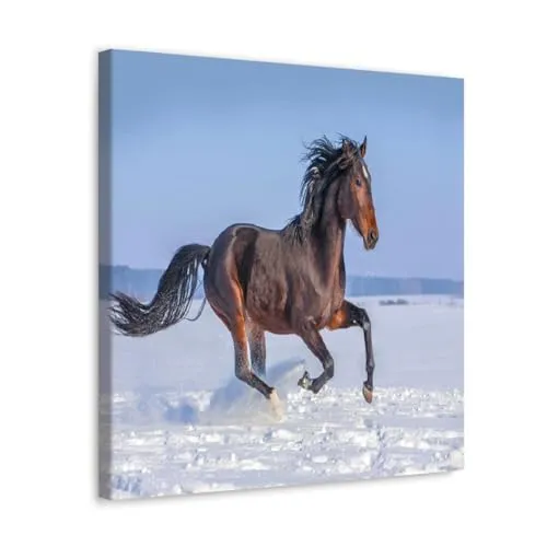 GADGETS WRAP Canvas Gallery Wrap Framed for Home Office Studio Living Room Decoration (10x10inch) - Horse Running Over Snow