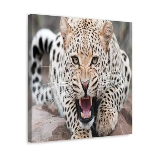 GADGETS WRAP Canvas Gallery Wrap Framed for Home Office Studio Living Room Decoration (10x10inch) - Leopard