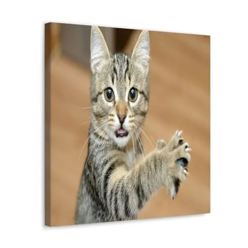 GADGETS WRAP Canvas Gallery Wrap Framed for Home Office Studio Living Room Decoration (10x10inch) - No Not Now Kitti