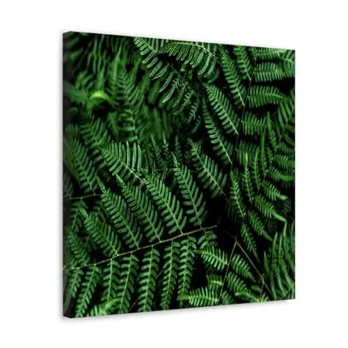 GADGETS WRAP Canvas Gallery Wrap Framed for Home Office Studio Living Room Decoration (10x10inch) - Plants Fern