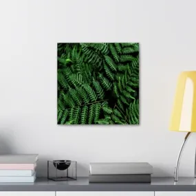 GADGETS WRAP Canvas Gallery Wrap Framed for Home Office Studio Living Room Decoration (10x10inch) - Plants Fern