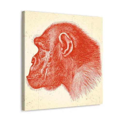 GADGETS WRAP Canvas Gallery Wrap Framed for Home Office Studio Living Room Decoration (10x10inch) - Profile Of A Chimpanzee