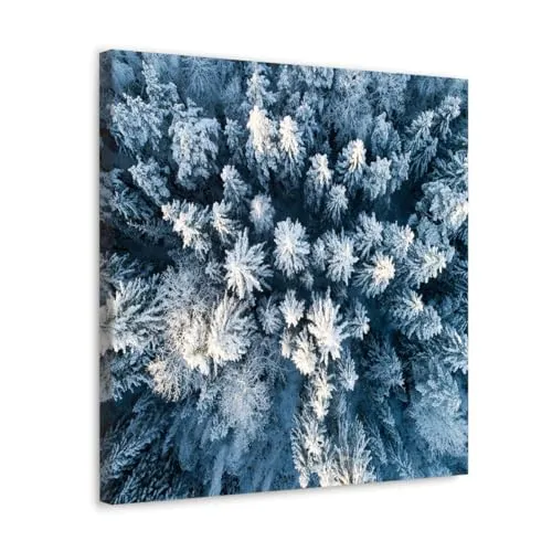 GADGETS WRAP Canvas Gallery Wrap Framed for Home Office Studio Living Room Decoration (10x10inch) - Snow Covered Forest (2)