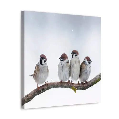 GADGETS WRAP Canvas Gallery Wrap Framed for Home Office Studio Living Room Decoration (10x10inch) - Sparrow Birds On Tree Branch