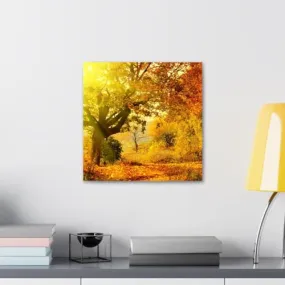 GADGETS WRAP Canvas Gallery Wrap Framed for Home Office Studio Living Room Decoration (10x10inch) - Sunrays & Autumn Trees