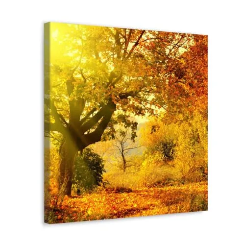 GADGETS WRAP Canvas Gallery Wrap Framed for Home Office Studio Living Room Decoration (10x10inch) - Sunrays & Autumn Trees