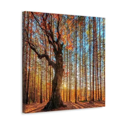 GADGETS WRAP Canvas Gallery Wrap Framed for Home Office Studio Living Room Decoration (10x10inch) - The King Of The Trees