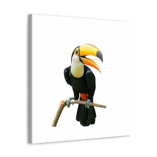 GADGETS WRAP Canvas Gallery Wrap Framed for Home Office Studio Living Room Decoration (10x10inch) - Toucan Bird On Tree