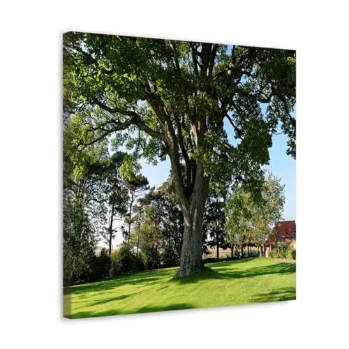 GADGETS WRAP Canvas Gallery Wrap Framed for Home Office Studio Living Room Decoration (10x10inch) - Tree 970850