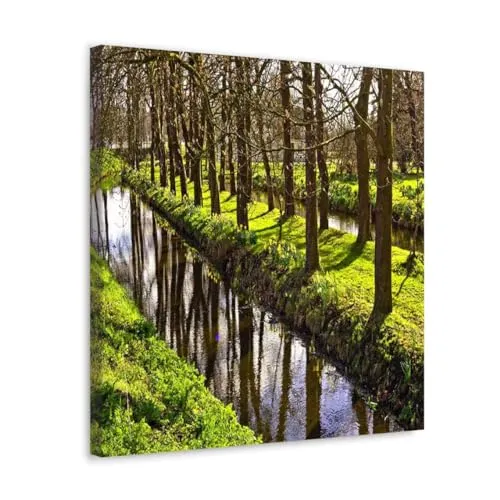 GADGETS WRAP Canvas Gallery Wrap Framed for Home Office Studio Living Room Decoration (10x10inch) - Trees Row