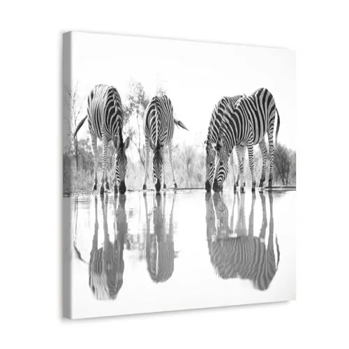 GADGETS WRAP Canvas Gallery Wrap Framed for Home Office Studio Living Room Decoration (10x10inch) - Zebras Near Lake