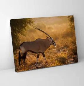 GADGETS WRAP Canvas Gallery Wrap Framed for Home Office Studio Living Room Decoration (11x9inch) - African Oryx