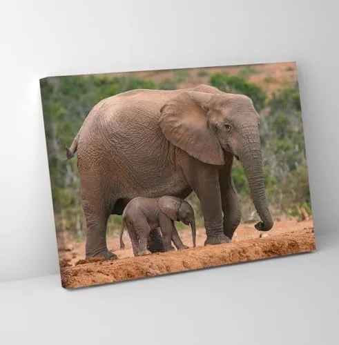 GADGETS WRAP Canvas Gallery Wrap Framed for Home Office Studio Living Room Decoration (11x9inch) - Mother And Calf