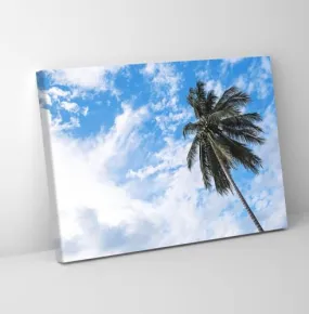 GADGETS WRAP Canvas Gallery Wrap Framed for Home Office Studio Living Room Decoration (11x9inch) - Palm Tree Under Lu Sky