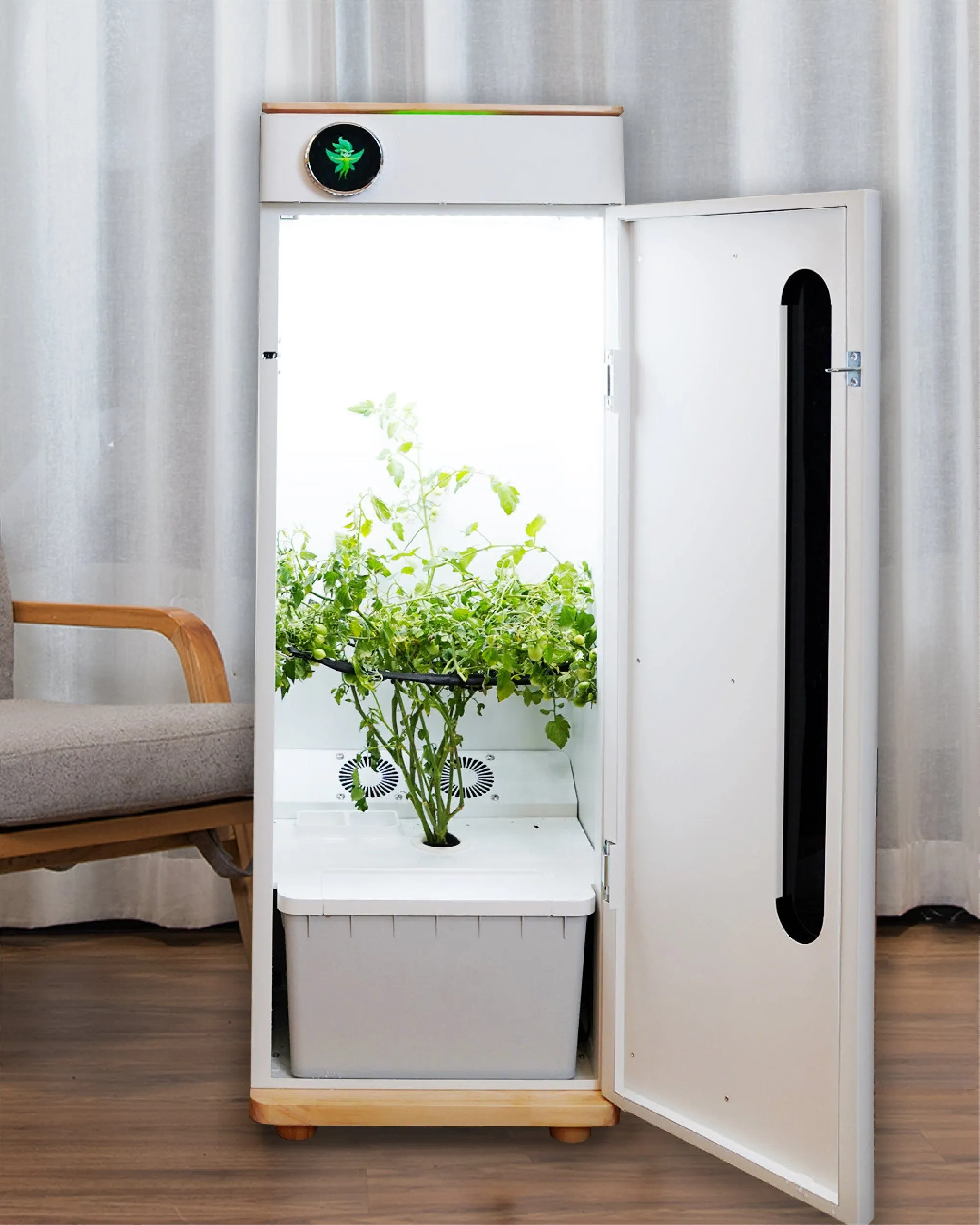 Hey abby Hydroponic Indoor Grow Box OG Edition