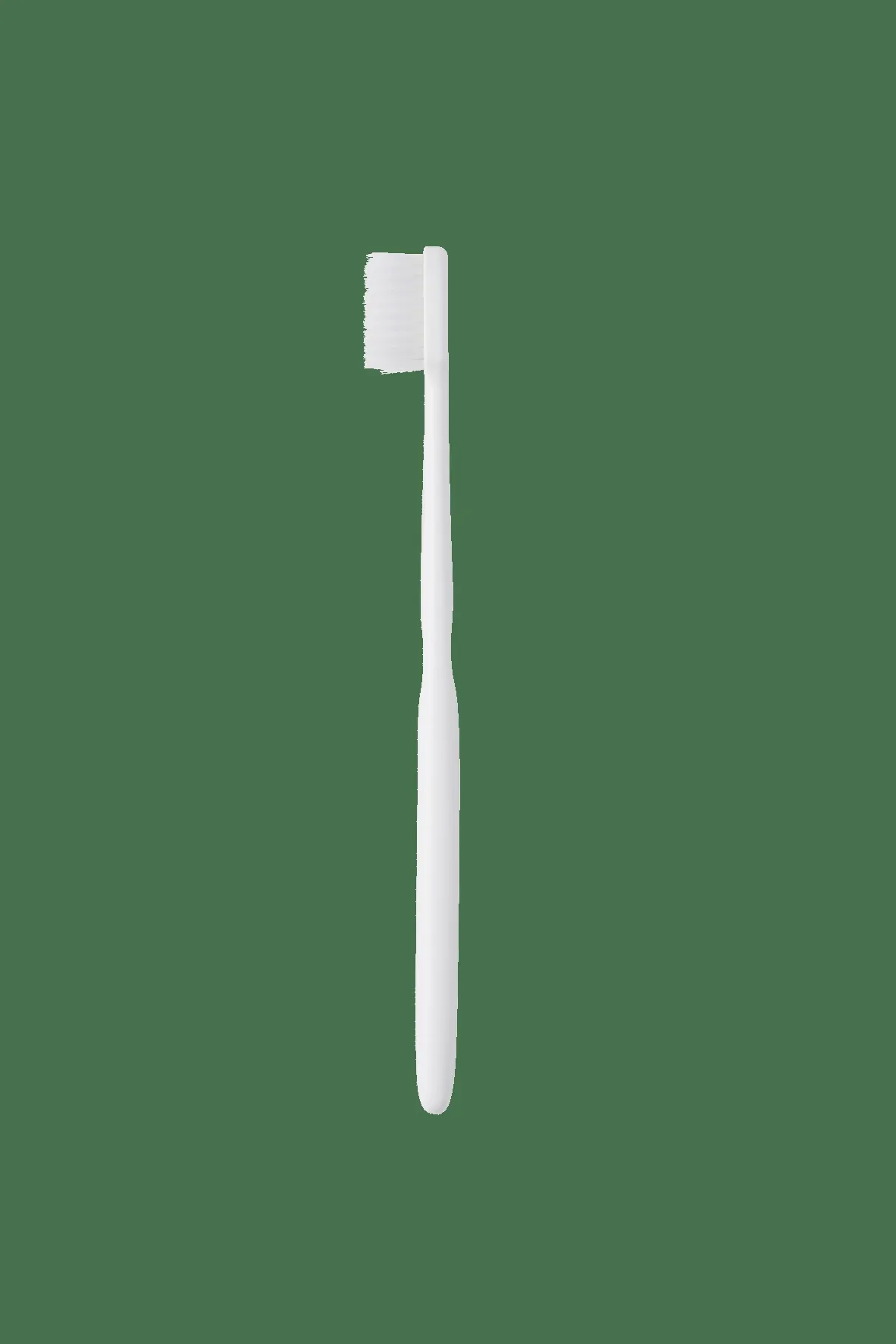 Ister14 Dual Fine Toothbrush