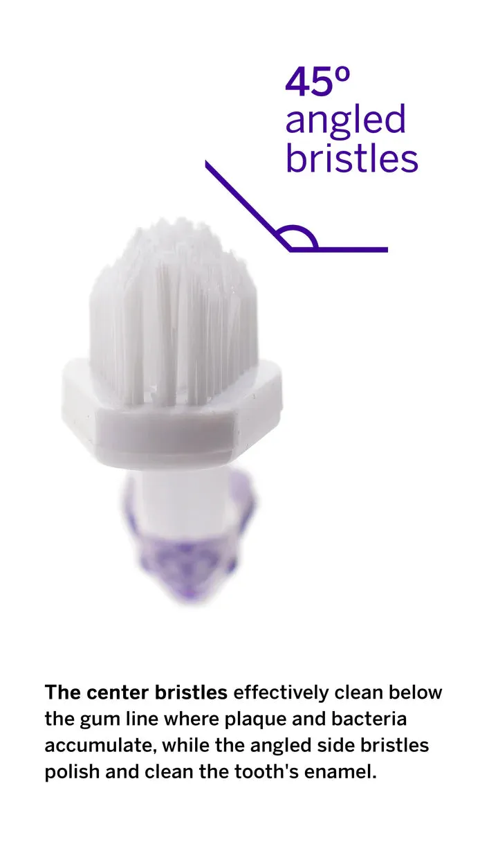 PetSmile Professional Pet Toothbrush With Patented 45° Dual-Ended Brush Head