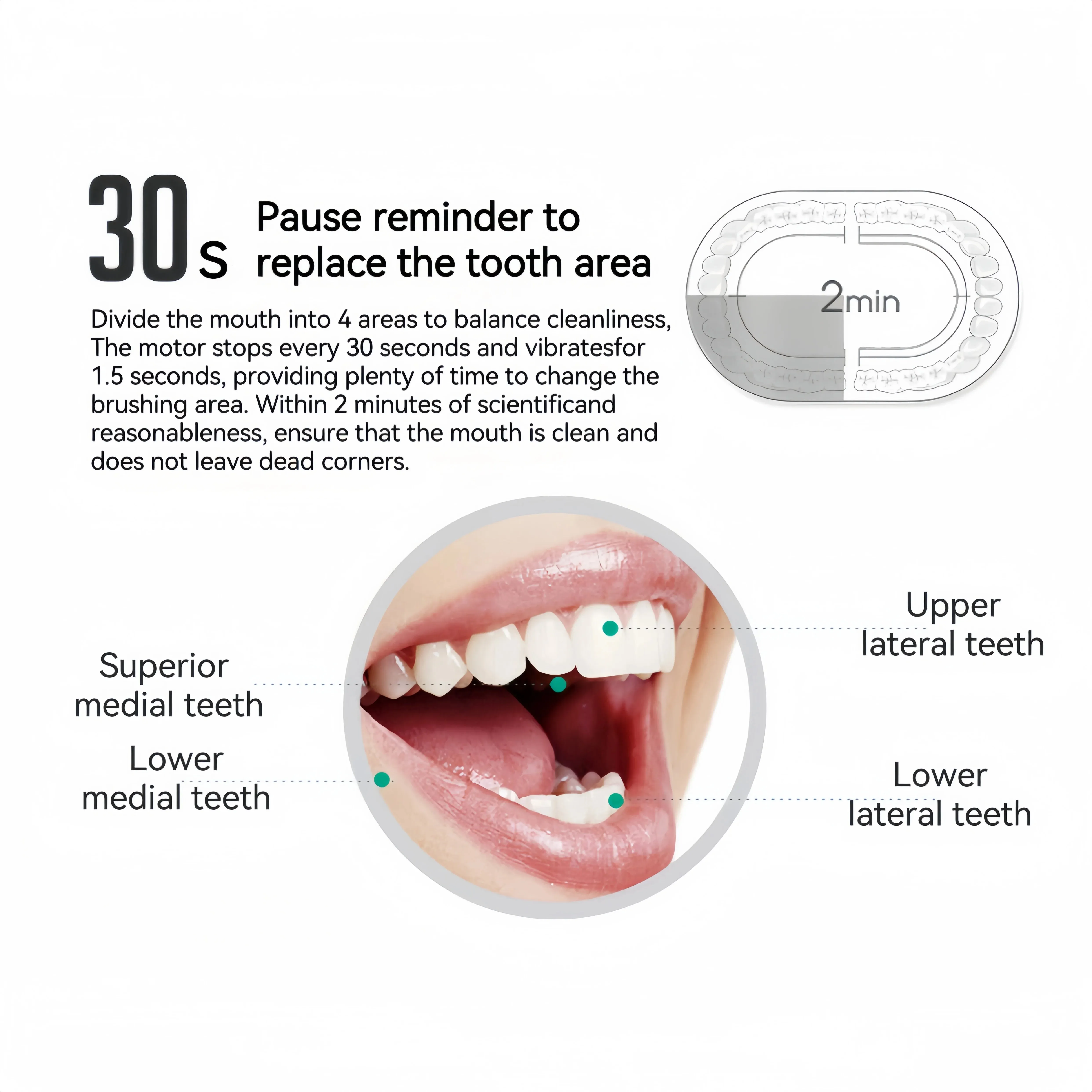 Rechargeable Electric Powered Toothbrush with Travel Case, 8 Brush Heads & USB Rechargeable Tooth Brush Deep Clean Oral Care -6