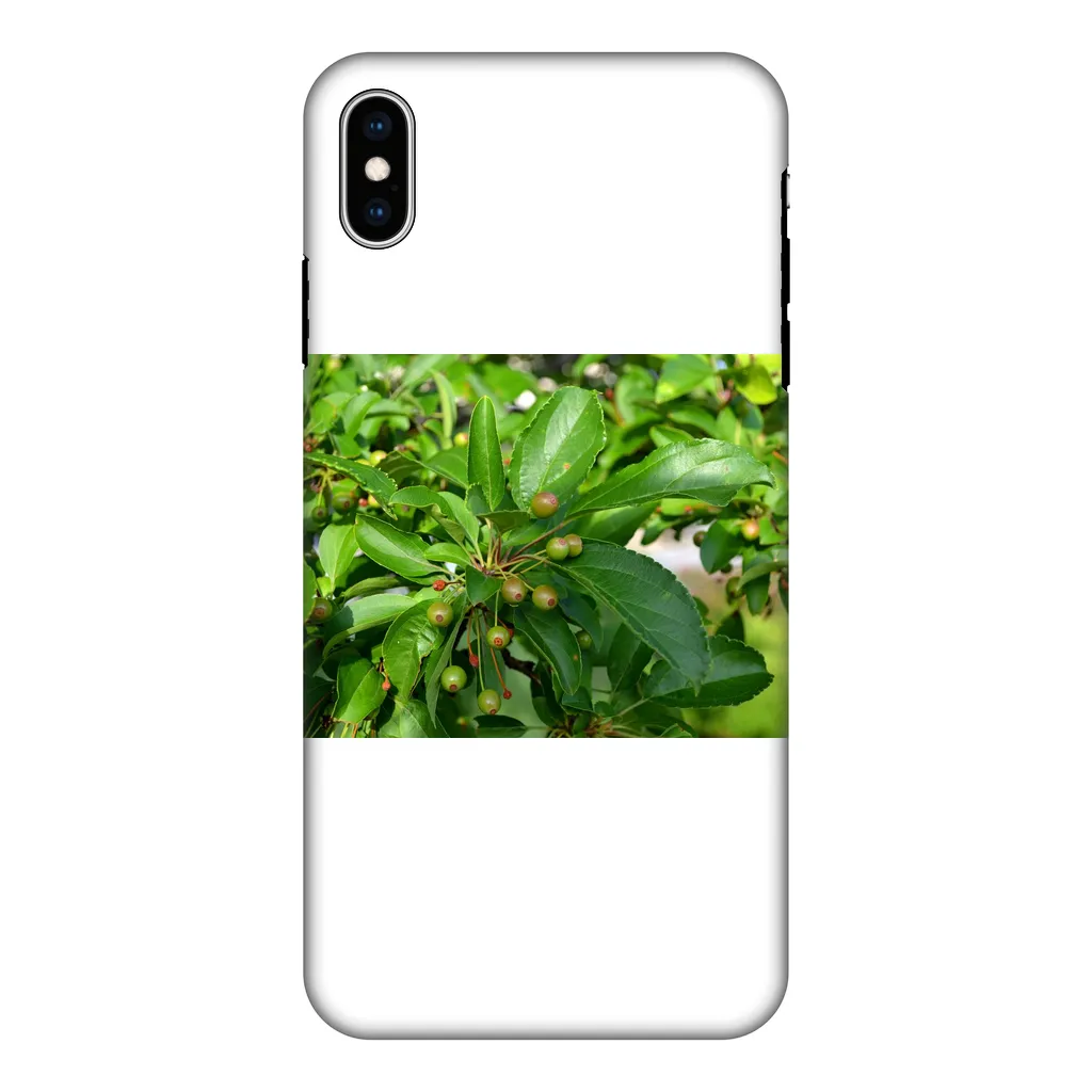 Tree with Seeds Fully Printed Tough Phone Case