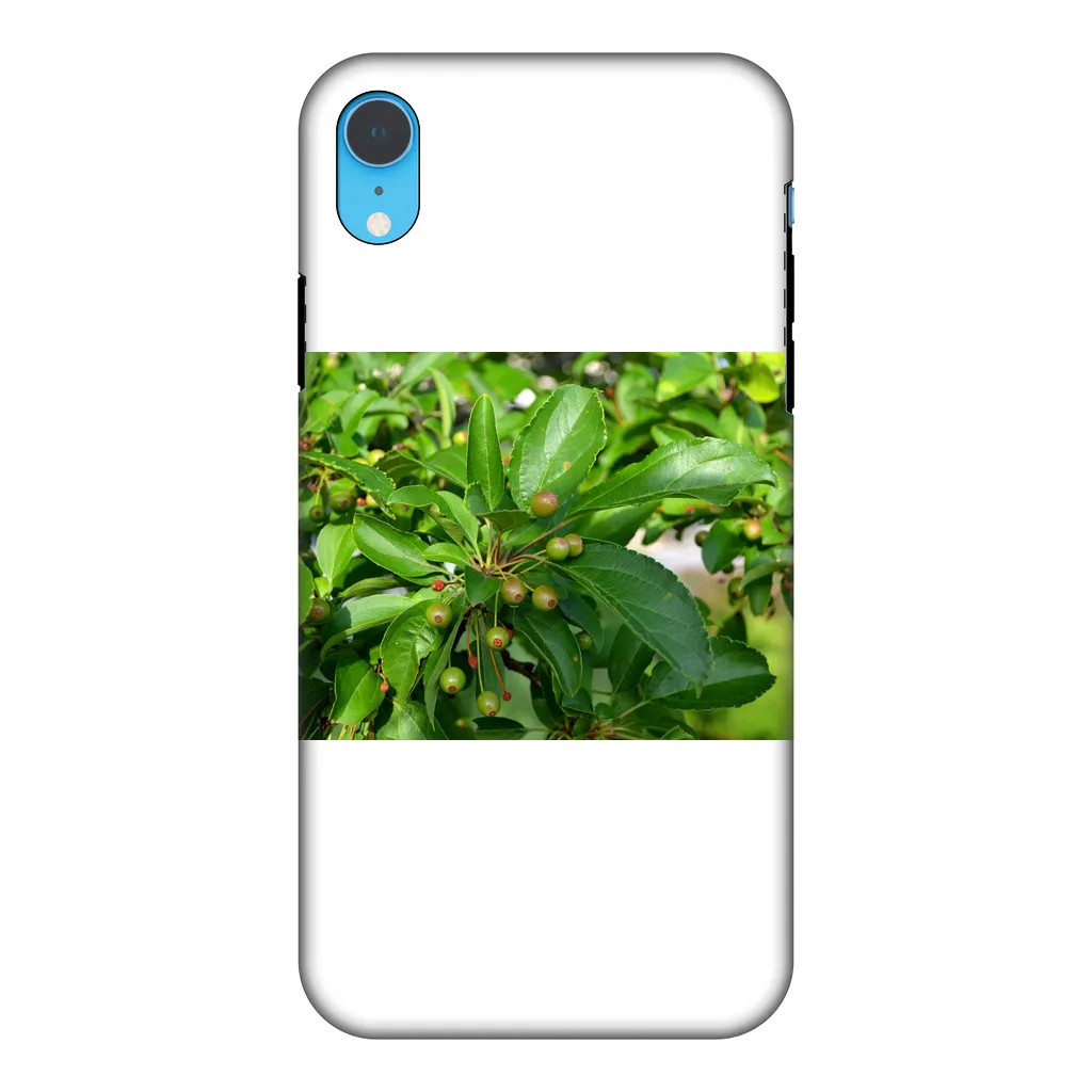 Tree with Seeds Fully Printed Tough Phone Case