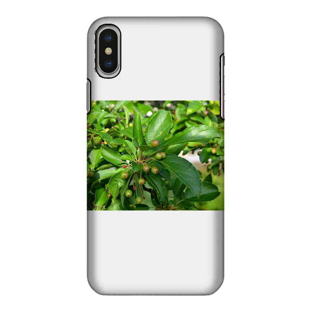 Tree with Seeds Fully Printed Tough Phone Case