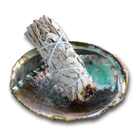 White Sage Smudge Stick with Abalone Shell Holder