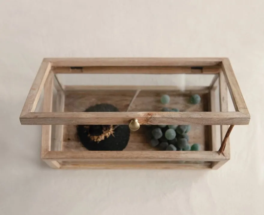 Wood & Glass Display Box